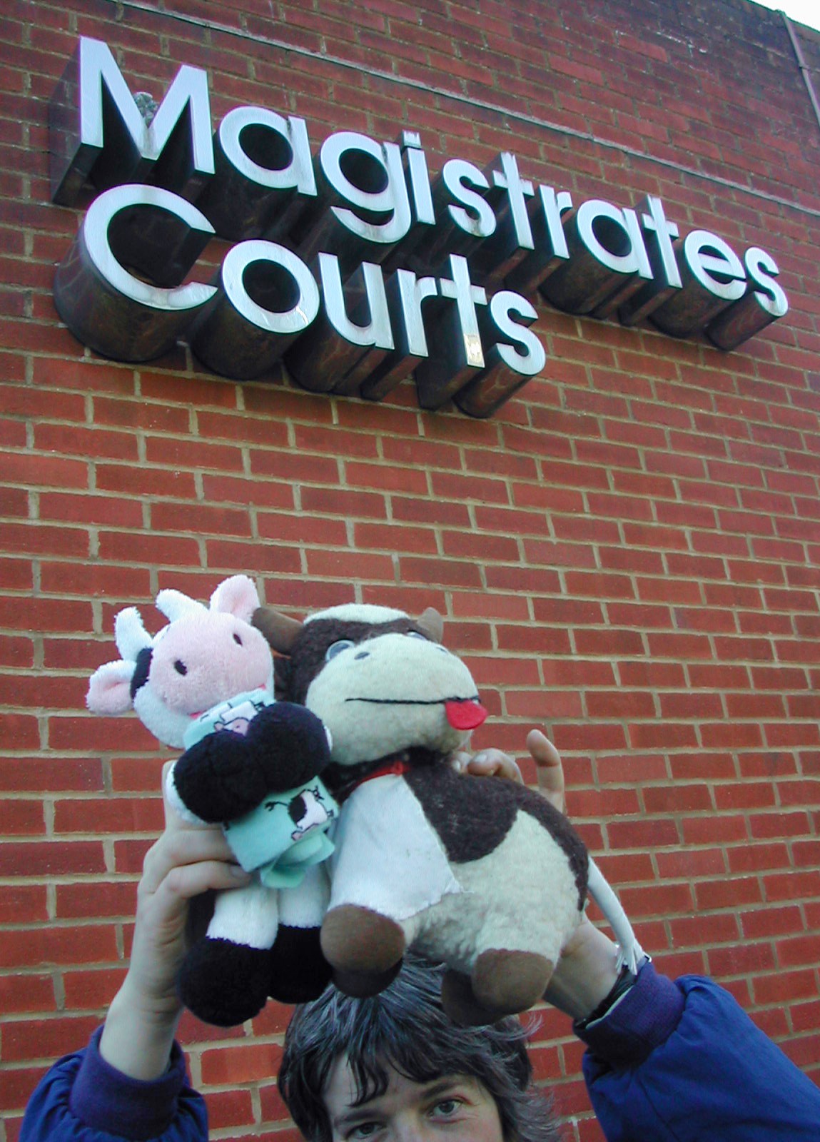 Bonya and Lilith II doing court support at Reading court on 9 March 2009